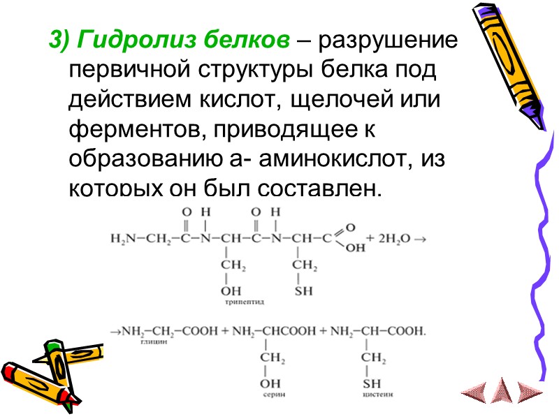 3) Гидролиз белков – разрушение первичной структуры белка под действием кислот, щелочей или ферментов,